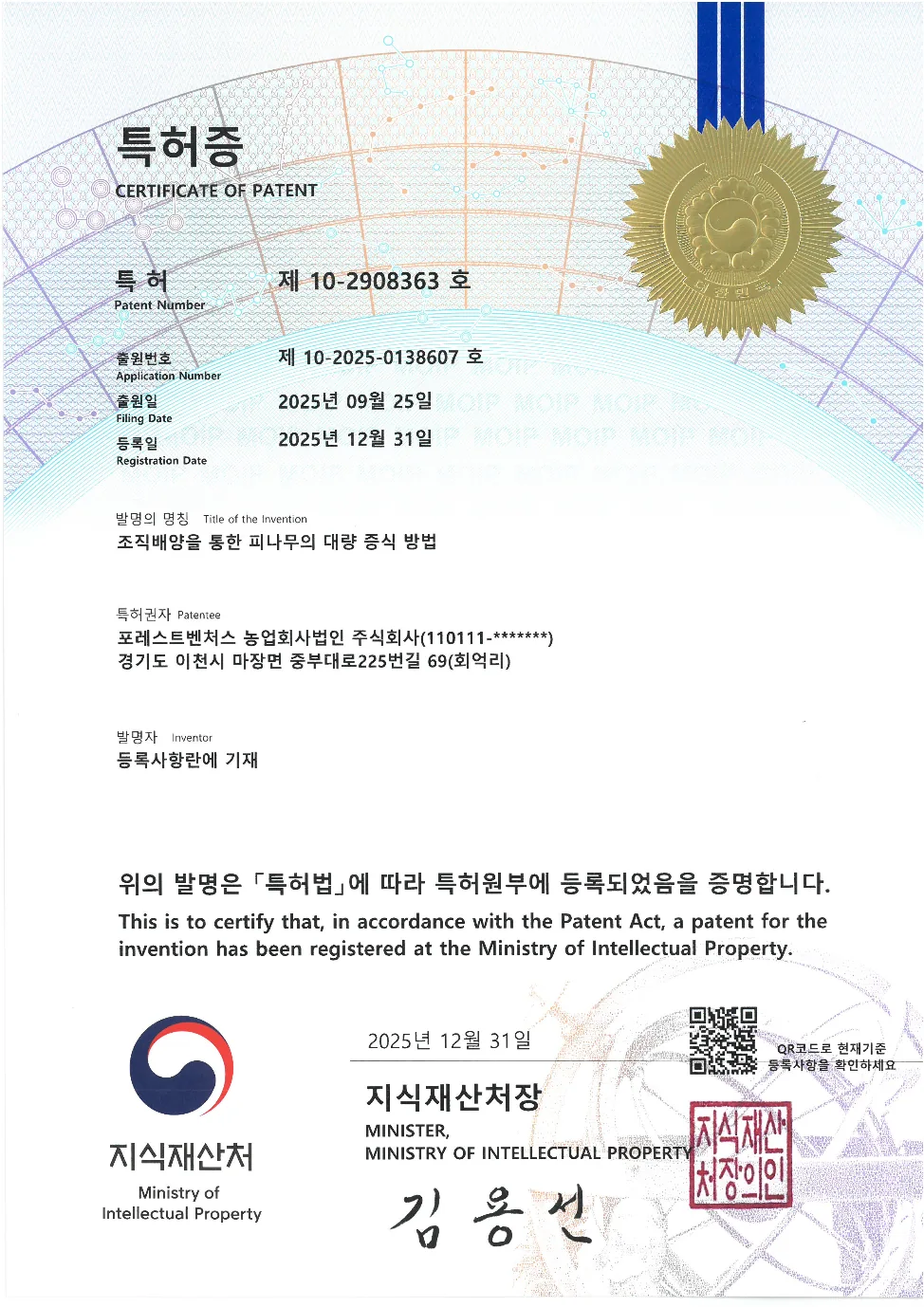 피나무 특허증