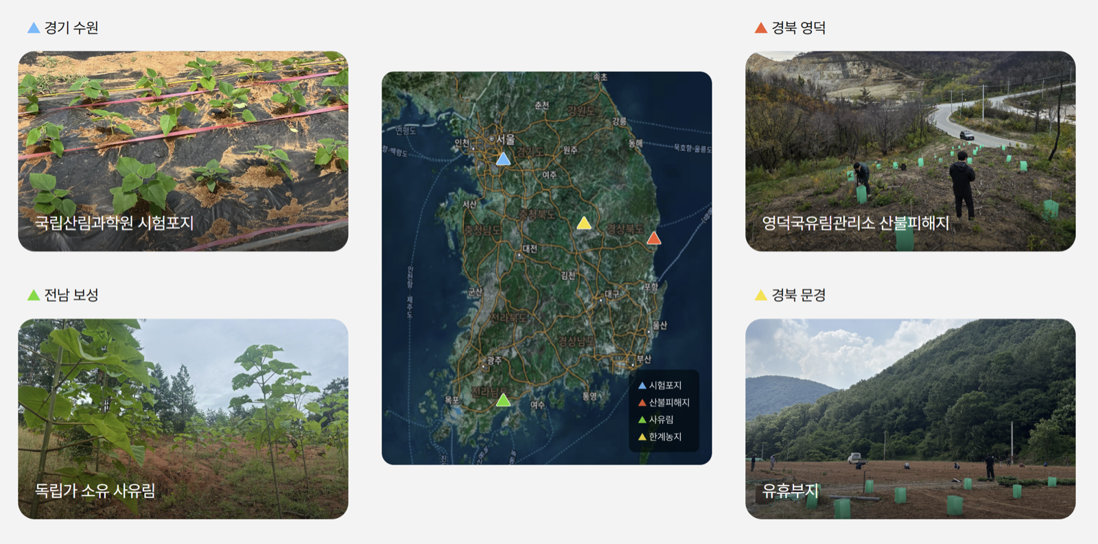 오동나무 실증 사례