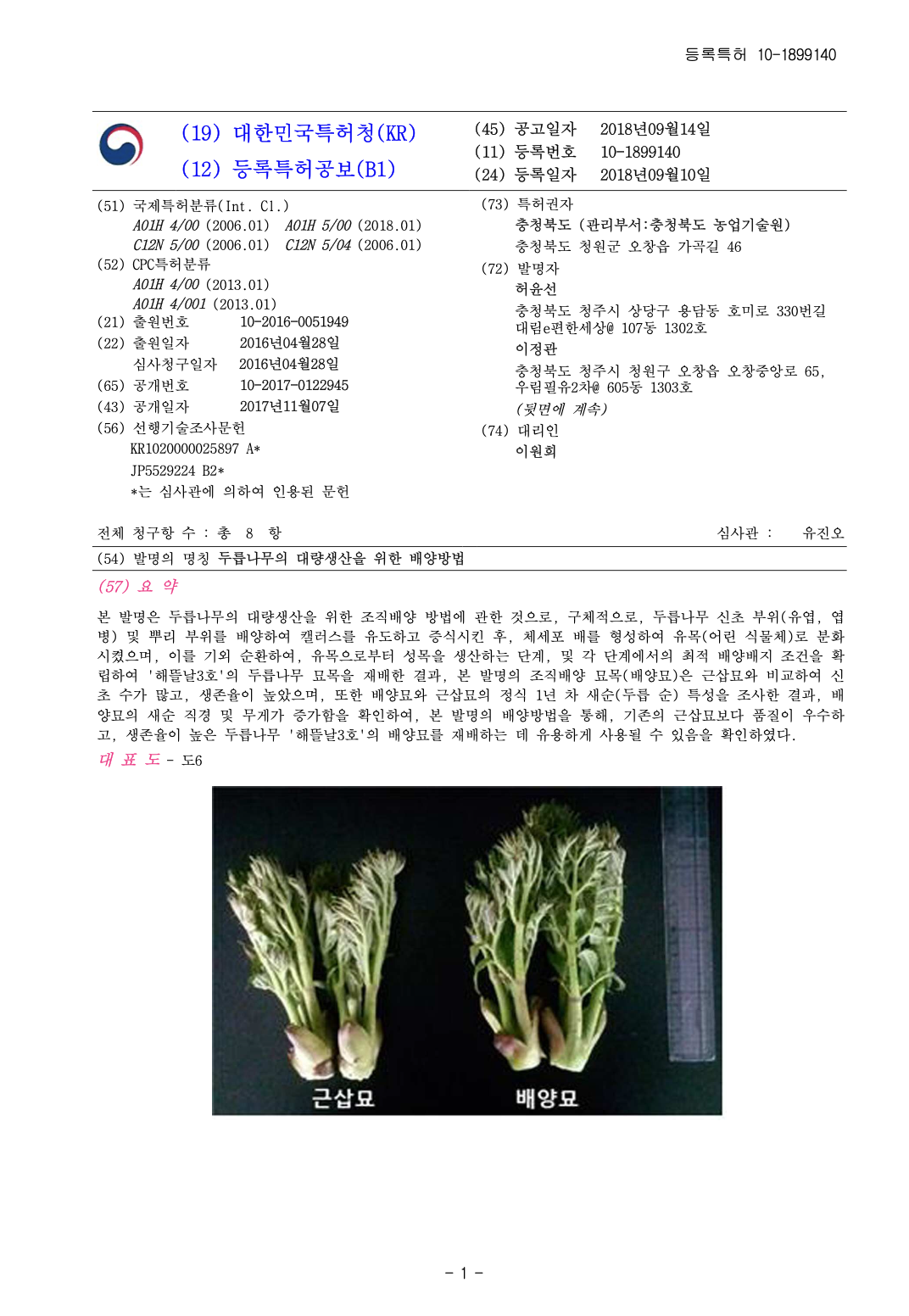 두릅나무 특허