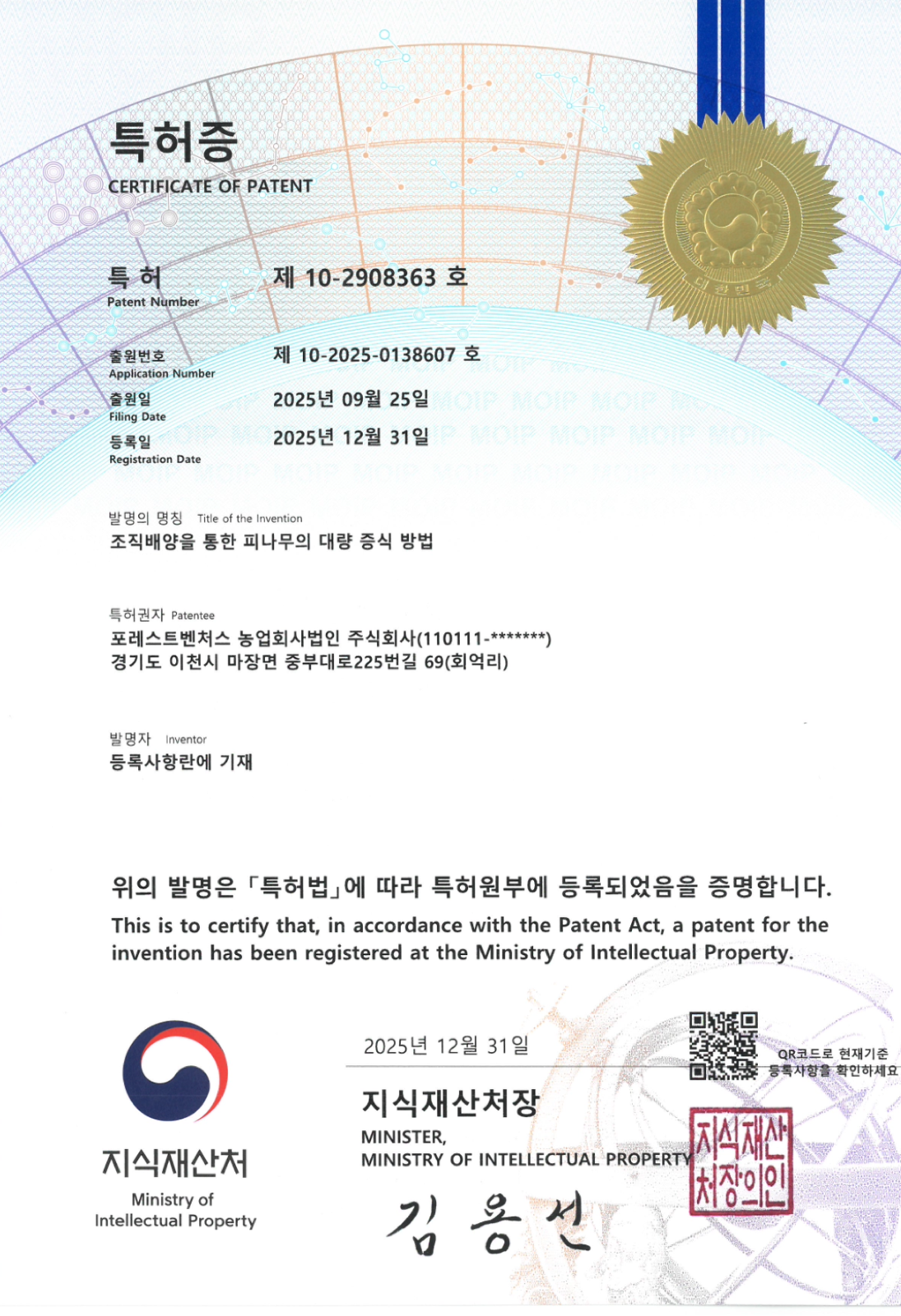 피나무 특허증